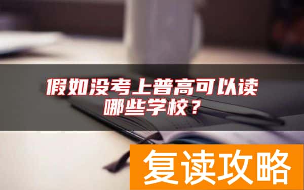 假如没考上普高可以读哪些学校？